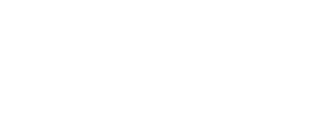 Logo MIJN CIO website2.png