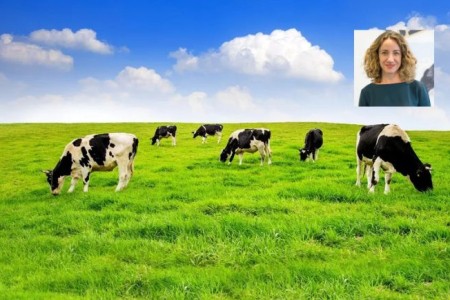 2024-10-10 Burce Gültekin CIO FrieslandCampina